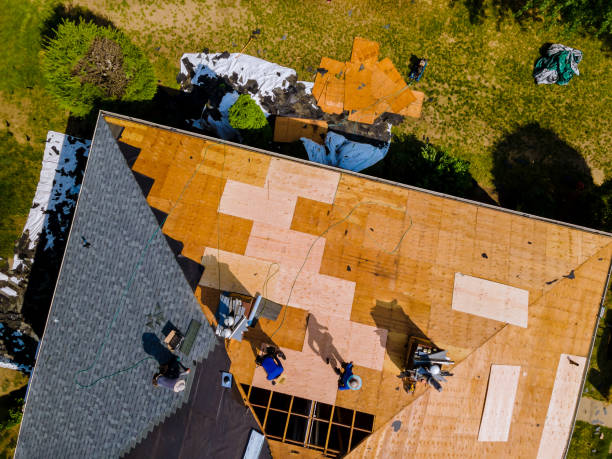 Best Roof Repair Services  in Anthony, KS