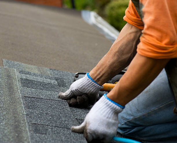 Best Roof Maintenance Services  in Anthony, KS
